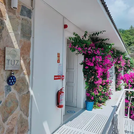 B&B Bubo