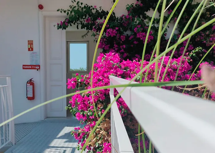 Tuz Oda ve Kahvaltı 4*